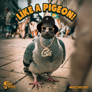 DJ Crypt – “Like A Pigeon”